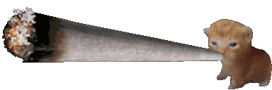 :kittybluntsmoke@plasmatrap.com:
