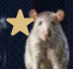 :ratstar@plasmatrap.com: